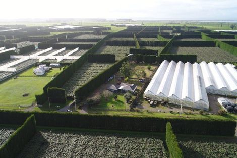 Photo of property in 187 Kelly Road, Paengaroa, Te Puke, 3189