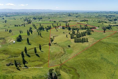 Photo of property in 328 Buckland Road, Matamata, 3472