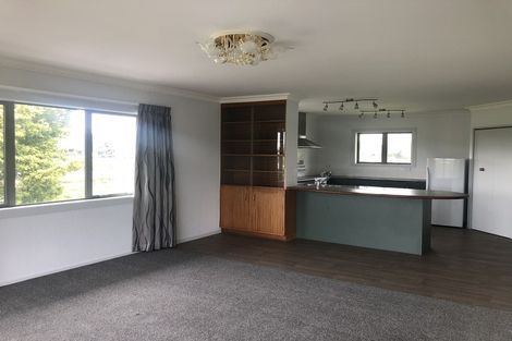 Photo of property in 214 Peacockes Road, Fitzroy, Hamilton, 3282