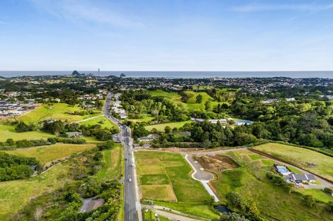 Photo of property in 371 Tukapa Street, Hurdon, New Plymouth, 4310
