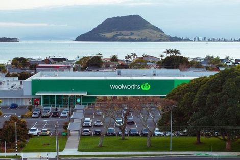 Photo of property in 48a Ngatai Road, Otumoetai, Tauranga, 3110