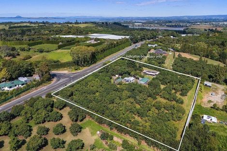 Photo of property in 463 State Highway, Tahawai, Katikati, 3170