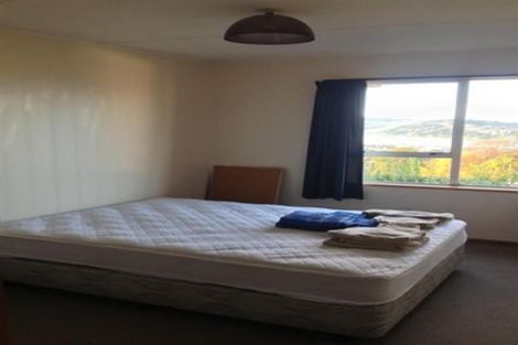 Photo of property in 15 Garfield Avenue, Roslyn, Dunedin, 9010