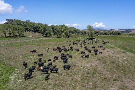 Photo of property in 429 Te Akau South Road, Te Akau, Ngaruawahia, 3793