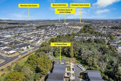 Photo of property in 13 Pumau Place, Flat Bush, Auckland, 2019