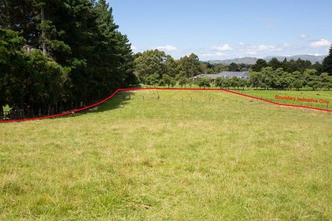 Photo of property in 133 Adelaide Road, Dannevirke, 4930