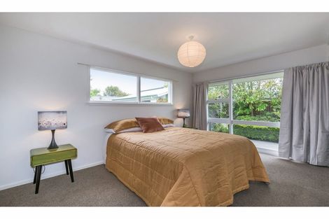 Photo of property in 17 Ferniehurst Street, Somerfield, Christchurch, 8024