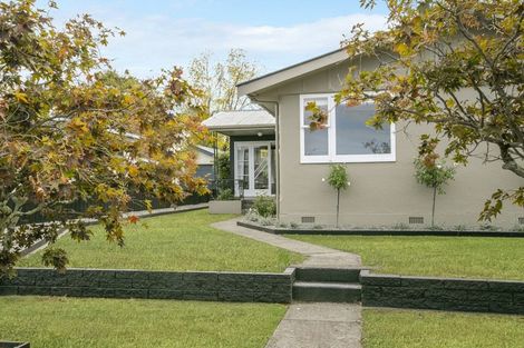 Photo of property in 14 Fergusson Street, Solway, Masterton, 5810