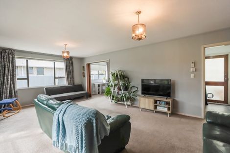 Photo of property in 29 Mitchell Place, Netherby, Ashburton, 7700