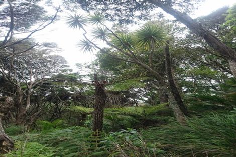 Photo of property in 77 Karekare Road, Karekare, Auckland, 0772