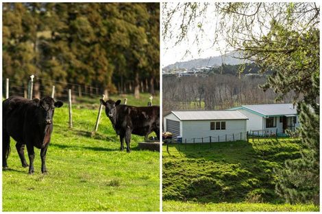 Photo of property in 40a Brooklyn Road, Carterton, 5713