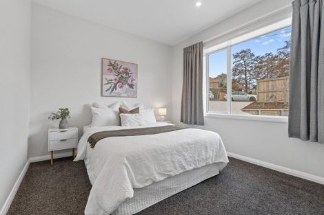 Photo of property in 31 Mayfield Avenue, Wakari, Dunedin, 9010