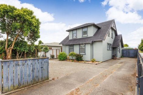 Photo of property in 113 Shamrock Street, Takaro, Palmerston North, 4412