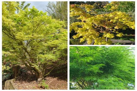 Photo of property in 128e Mauku Road, Patumahoe, Pukekohe, 2678