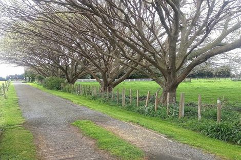 Photo of property in 233 Aorangi Road, Aorangi, Feilding, 4775