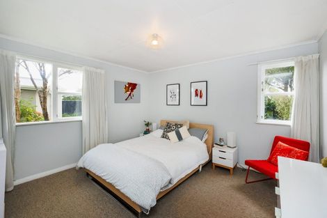 Photo of property in 382 Ruahine Street, Terrace End, Palmerston North, 4410