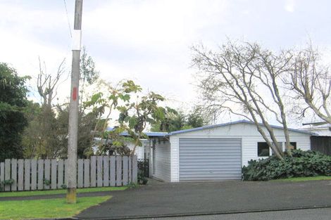Photo of property in 87 Peacockes Road, Fitzroy, Hamilton, 3206