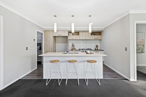 Photo of property in 94 Endeavour Drive, Whitby, Porirua, 5024