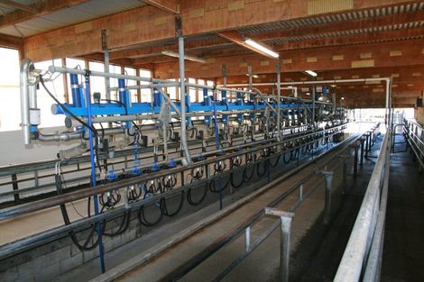 Photo of property in 343 Opunake Road, Cardiff, Stratford, 4391