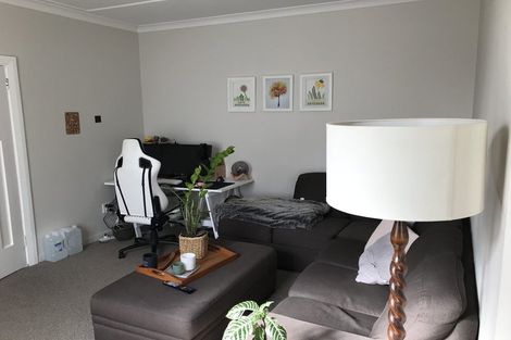 Photo of property in 8 Trevor Terrace, Newtown, Wellington, 6021