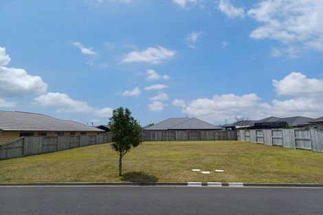 Photo of property in 25 Materawaho Way, Pyes Pa, Tauranga, 3112