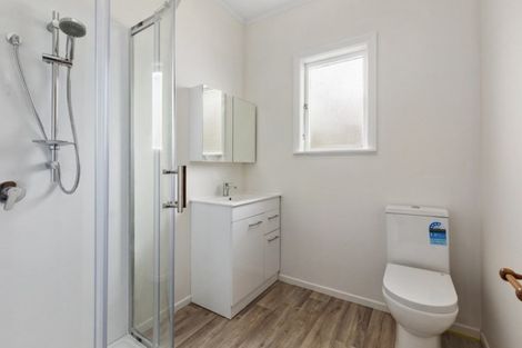 Photo of property in 60 Lincoln Avenue, Epuni, Lower Hutt, 5011