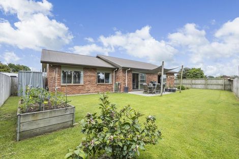 Photo of property in 24a Okoroire Street, Tirau, 3410