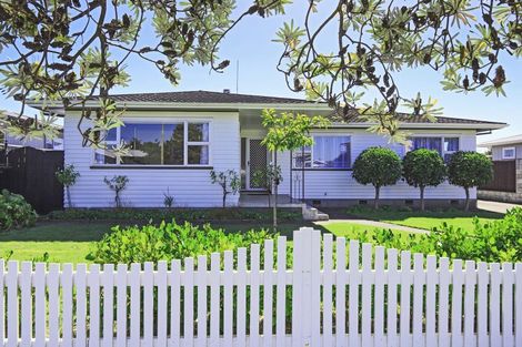 Photo of property in 20 Southwark Avenue, Tamatea, Napier, 4112