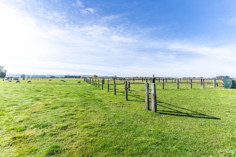 Photo of property in 128 Campbell Road, Winton, 9783