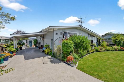 Photo of property in 37 Daniell Street, Solway, Masterton, 5810