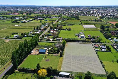 Photo of property in 82 Tollemache Road East, Longlands, Hastings, 4122