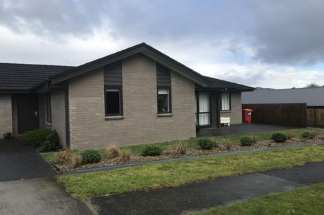 Photo of property in 241 Pukete Road, Pukete, Hamilton, 3200