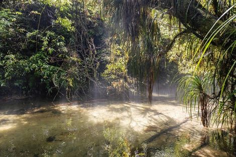 Photo of property in 52c Williams Road South, Pyes Pa, Tauranga, 3173