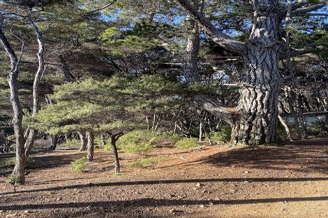 Photo of property in 19 Woods Ridge Road, Kawau Island, 0920