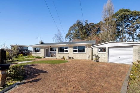 Photo of property in 21 Fitzroy Avenue, Fitzroy, Hamilton, 3206