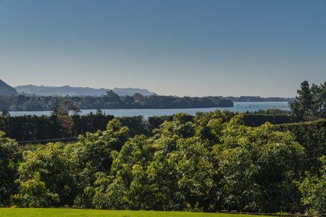 Photo of property in 210 Tuapiro Road, Tahawai, Katikati, 3170