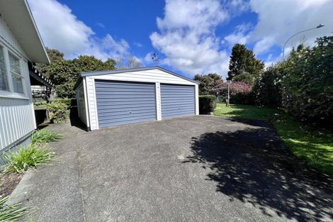 Photo of property in 15 Frances Street, Tirau, 3410