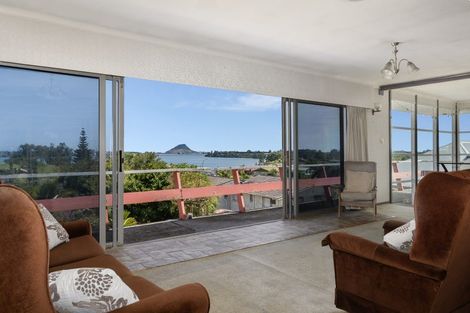 Photo of property in 359 Maungatapu Road, Maungatapu, Tauranga, 3112