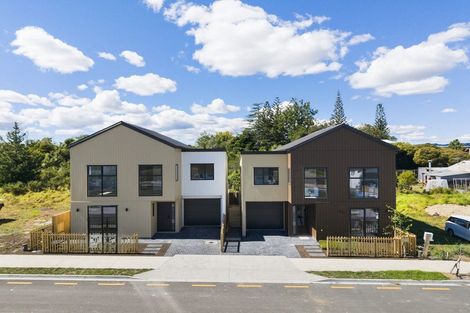 Photo of property in 13 Taipahitini Road, Rosehill, 2113