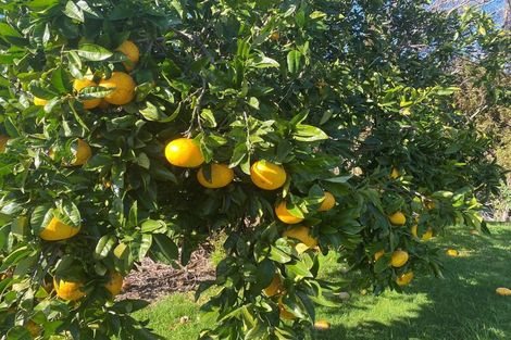 Photo of property in 4 Grierson Close, Hahei, Whitianga, 3591