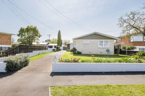 Photo of property in 9 Patrick Place, Fitzroy, Hamilton, 3206