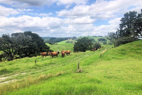 Photo of property in 504b Wairere Road, Maungaturoto, 0571