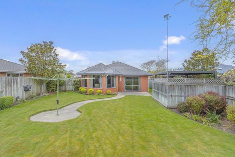 Photo of property in 21 Langley Place, Belfast, Christchurch, 8051