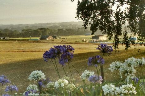 Photo of property in 12 Codlin Road, Otaua, Waiuku, 2683