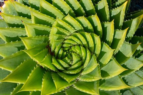 Photo of property in 18 Takahe Drive, Paraparaumu Beach, Paraparaumu, 5032