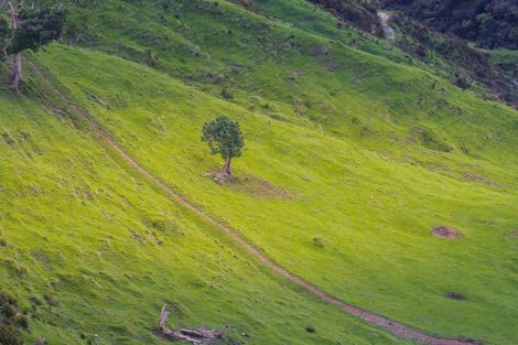 Photo of property in 987 Mangaehu Road, Puniwhakau, Stratford, 4392