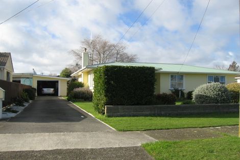 Photo of property in 29 Elizabeth Street, Feilding, 4702