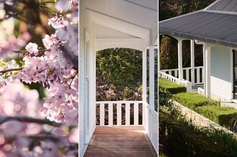 Photo of property in 10 Cobden Road, Bluff Hill, Napier, 4110