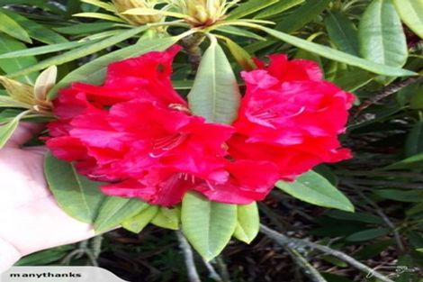 Photo of property in 145 Karanga Road, Dunsandel, Leeston, 7682