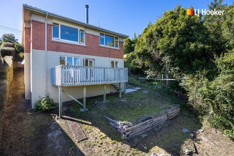 Photo of property in 26 Agnes Street, Kenmure, Dunedin, 9011